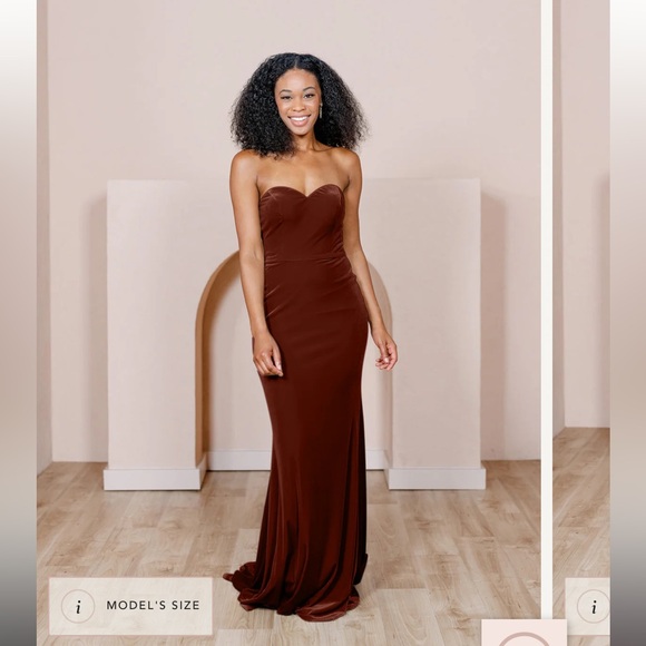 Revelry Quinn Velvet Dress in Terracotta - 606. Size 4 Petite, 41” waist to hem. - Picture 2 of 5